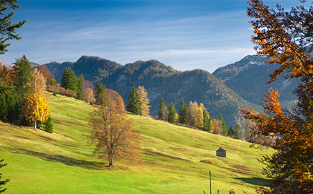 Single steiermark
