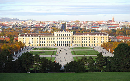 Singleborse Aus Vienna