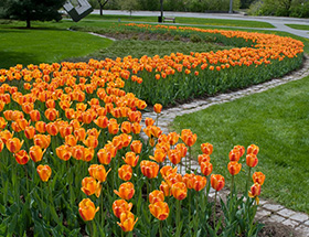 Singles in Linz gehen in den Botanischen Garten